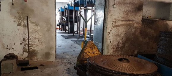 Gebäude in Aguas Belas, Portugal 1000m², Nr. 67857 26