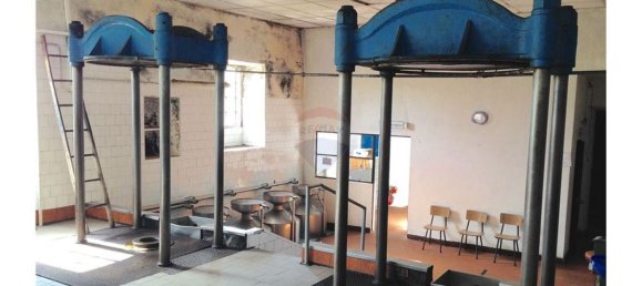 Gebäude in Aguas Belas, Portugal 1000m², Nr. 67857 12