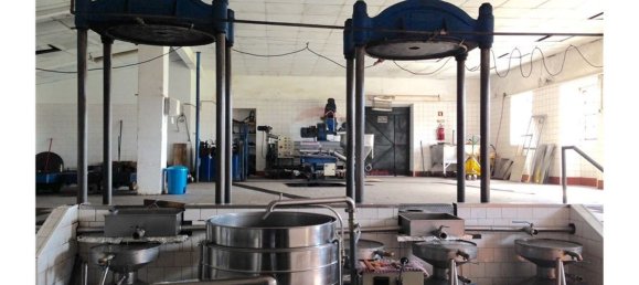 Gebäude in Aguas Belas, Portugal 1000m², Nr. 67857 16