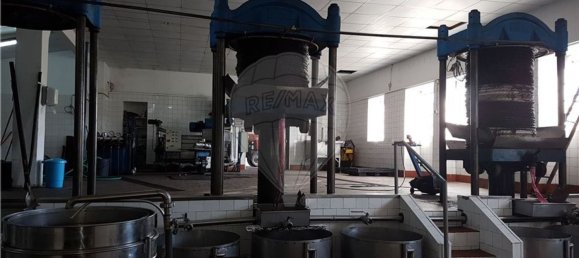 Gebäude in Aguas Belas, Portugal 1000m², Nr. 67857 24