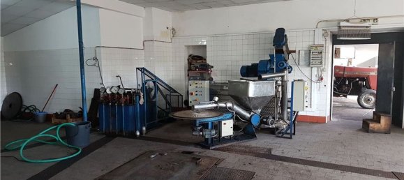 Gebäude in Aguas Belas, Portugal 1000m², Nr. 67857 21