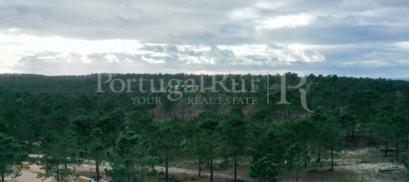 1116m² Land in Grandola, Portugal No. 75249 11