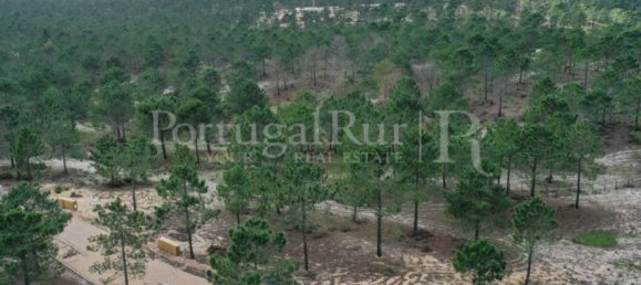 1116m² Land in Grandola, Portugal No. 75249 12