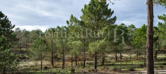 1116m² Land in Grandola, Portugal No. 75249 9