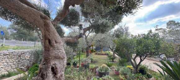 9 rooms Villa in Monopoli, Italy No. 17848 42