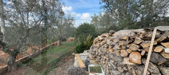 9 rooms Villa in Monopoli, Italy No. 17848 43