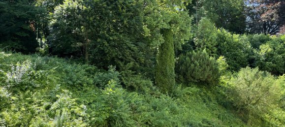 1غرفة عقار تجاري في Berchtesgadener Land, Germany رقم 262871 2