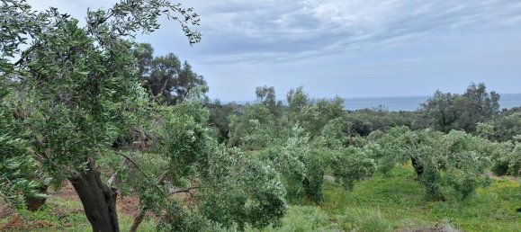 6700m² Land for sale in Corfu, Central Corfu and Diapontian Islands, Corfu, Ionian Islands, Peloponnese, Western Greece and the Ionian, Greece № 93225 4