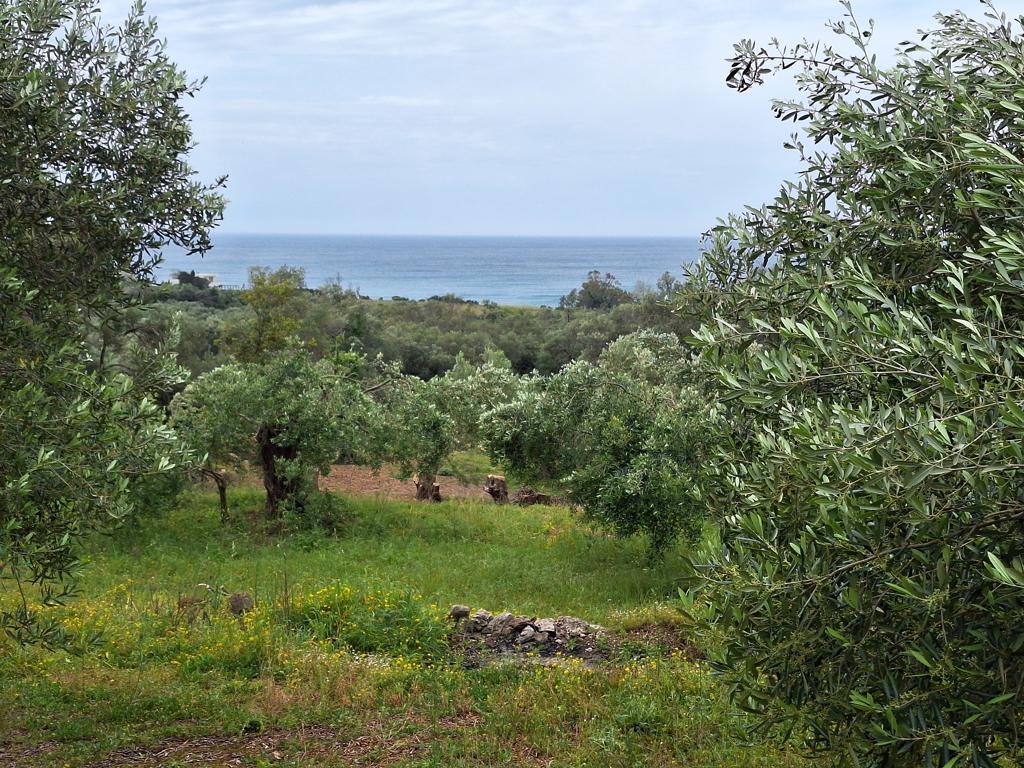6700m² Land for sale in Corfu, Central Corfu and Diapontian Islands, Corfu, Ionian Islands, Peloponnese, Western Greece and the Ionian, Greece № 93225