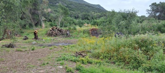 6700m² Land for sale in Corfu, Central Corfu and Diapontian Islands, Corfu, Ionian Islands, Peloponnese, Western Greece and the Ionian, Greece № 93225 12