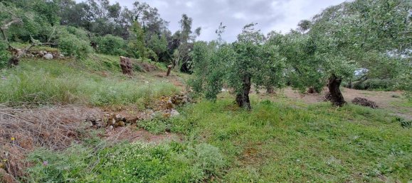 6700m² Land for sale in Corfu, Central Corfu and Diapontian Islands, Corfu, Ionian Islands, Peloponnese, Western Greece and the Ionian, Greece № 93225 11