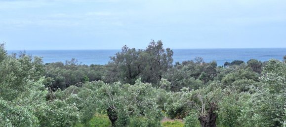6700m² Land for sale in Corfu, Central Corfu and Diapontian Islands, Corfu, Ionian Islands, Peloponnese, Western Greece and the Ionian, Greece № 93225 3