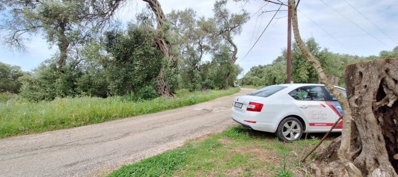 6700m² Land for sale in Corfu, Central Corfu and Diapontian Islands, Corfu, Ionian Islands, Peloponnese, Western Greece and the Ionian, Greece № 93225 14