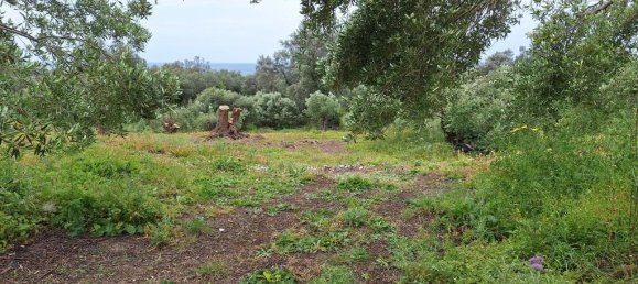 6700m² Land for sale in Corfu, Central Corfu and Diapontian Islands, Corfu, Ionian Islands, Peloponnese, Western Greece and the Ionian, Greece № 93225 8