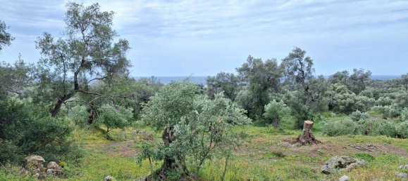 6700m² Land for sale in Corfu, Central Corfu and Diapontian Islands, Corfu, Ionian Islands, Peloponnese, Western Greece and the Ionian, Greece № 93225 2