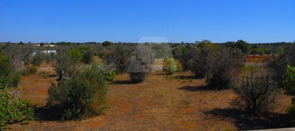 Дом с 1 спальней в Salve, Италия № 313374 39