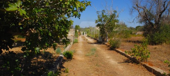 Дом с 1 спальней в Salve, Италия № 313374 49