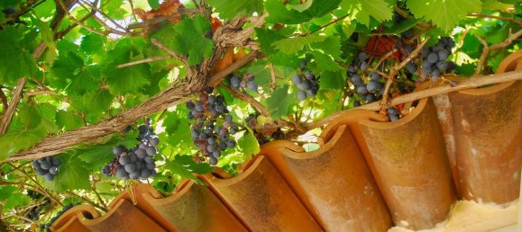 Дом с 1 спальней в Salve, Италия № 313374 18