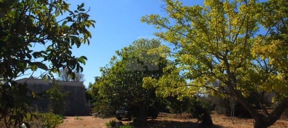 Дом с 1 спальней в Salve, Италия № 313374 50