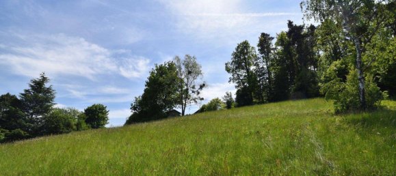  Land in Graz, Austria No. 251552 3