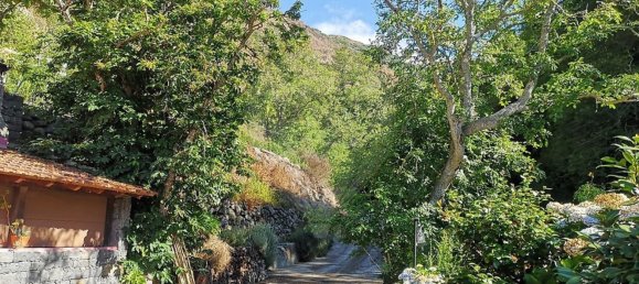 Дом с 3 спальнями в Рибейра Брава, Португалия № 66111 7