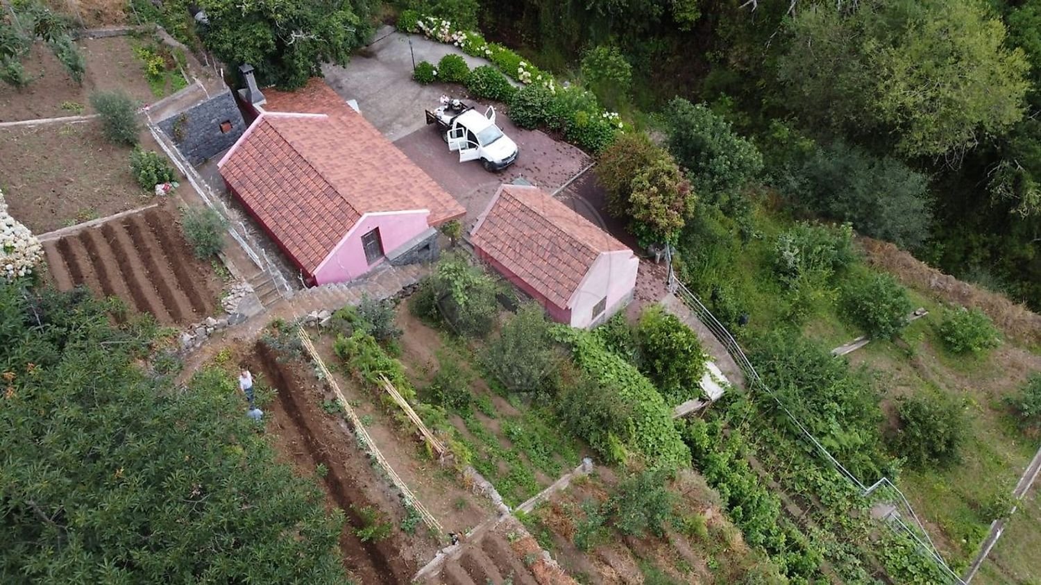 Дом с 3 спальнями в Рибейра Брава, Португалия № 66111