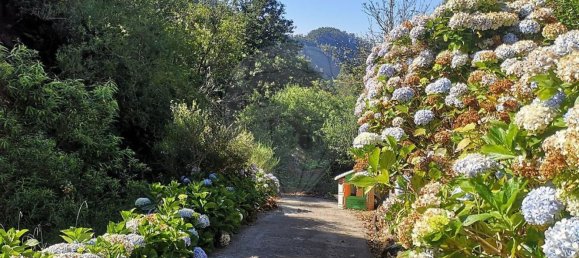 Дом с 3 спальнями в Рибейра Брава, Португалия № 66111 2