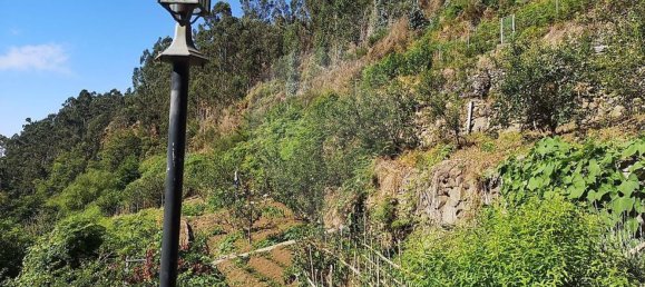 Дом с 3 спальнями в Рибейра Брава, Португалия № 66111 3