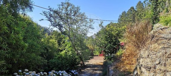 Дом с 3 спальнями в Рибейра Брава, Португалия № 66111 20