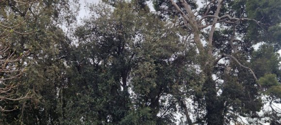 25 bedrooms House in Sant Joan Despi, Spain No. 161915 23