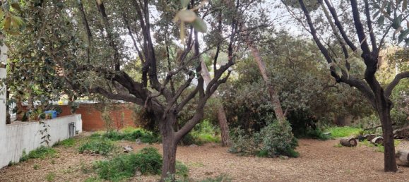 25 bedrooms House in Sant Joan Despi, Spain No. 161915 8