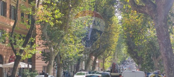 4-Zimmer Gewerbliche Immobilie in Rome, Italy, Nr. 58085 4