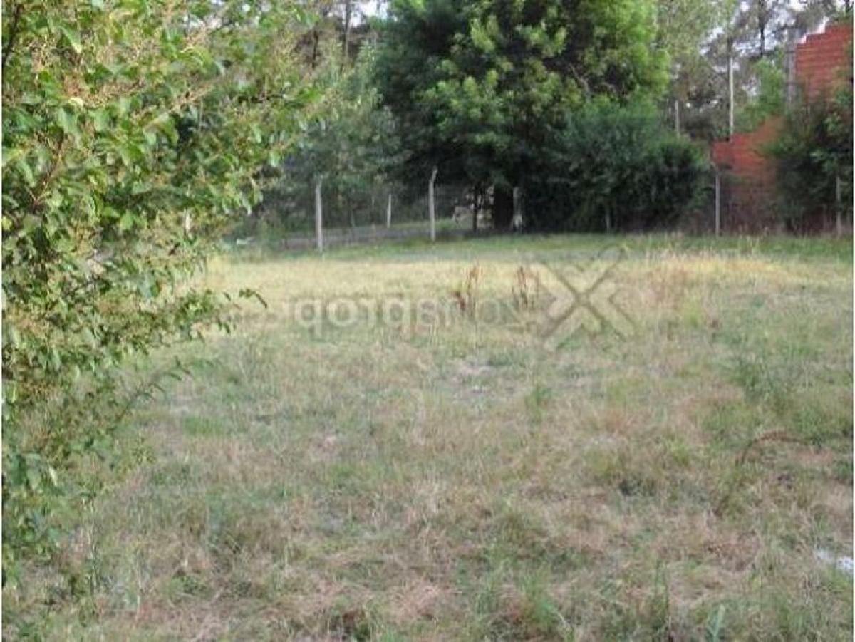  Land in Ituzaingo, Argentina No. 40867