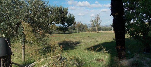 Дом с 10 комнатами в Контрогуэрра, Италия № 149792 4