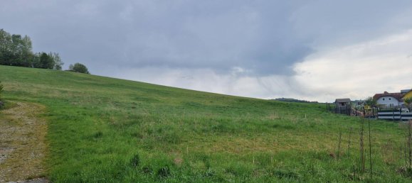 Grundstück in Weinzierl am Walde, Austria, Nr. 87453 2