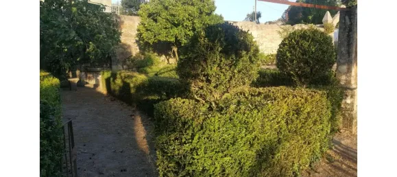 20 chambres Maison à Abrunhosa a Velha, Portugal No. 41375 21