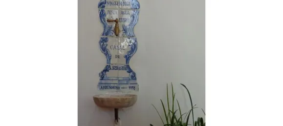 20 chambres Maison à Abrunhosa a Velha, Portugal No. 41375 30