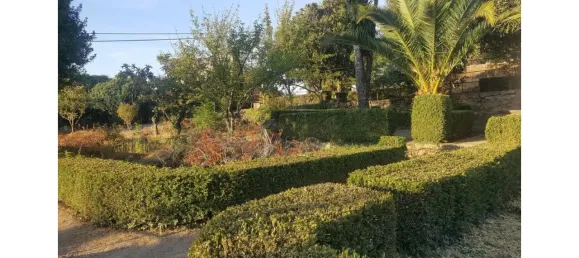 20 chambres Maison à Abrunhosa a Velha, Portugal No. 41375 22