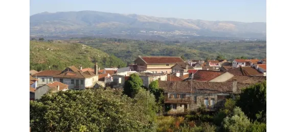 20 chambres Maison à Abrunhosa a Velha, Portugal No. 41375 32