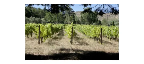 20 chambres Maison à Abrunhosa a Velha, Portugal No. 41375 15