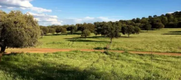 3 bedrooms House in Puertollano, Spain No. 143263 22