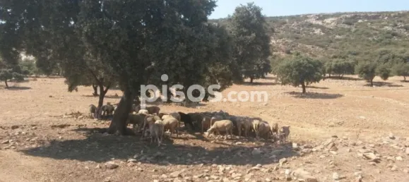 3 bedrooms House in Puertollano, Spain No. 143263 31