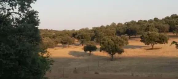 3 bedrooms House in Puertollano, Spain No. 143263 5