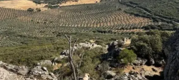 3 bedrooms House in Puertollano, Spain No. 143263 27