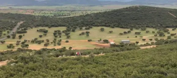 3 bedrooms House in Puertollano, Spain No. 143263 23