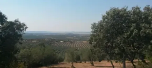 3 bedrooms House in Puertollano, Spain No. 143263 32