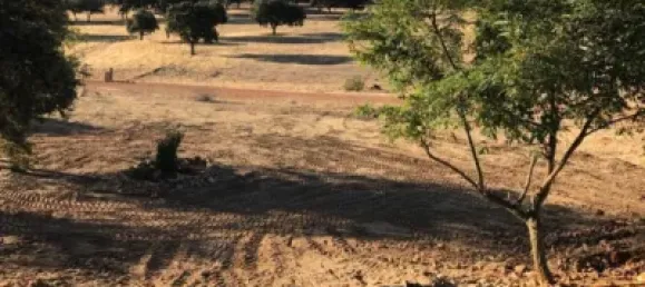 3 bedrooms House in Puertollano, Spain No. 143263 25