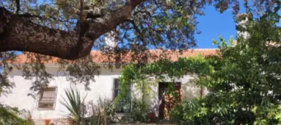 3 bedrooms House in Puertollano, Spain No. 143263 14