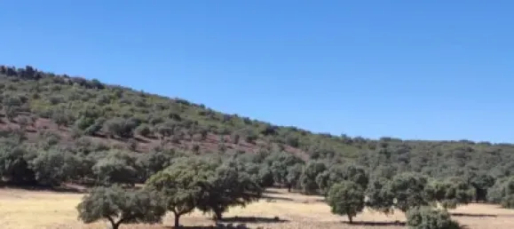 3 bedrooms House in Puertollano, Spain No. 143263 33