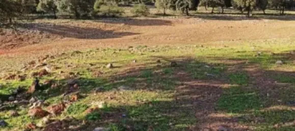 3 bedrooms House in Puertollano, Spain No. 143263 20